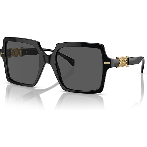 Amazon.com: Versace VE2199 Medusa Charm 100281 56MM Black/Grey